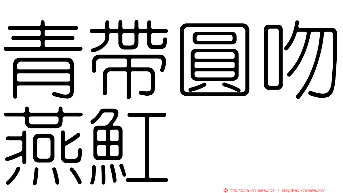 青帶圓吻燕魟