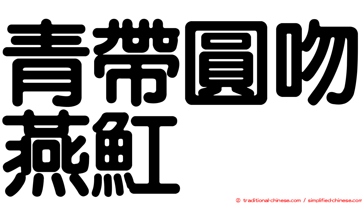 青帶圓吻燕魟