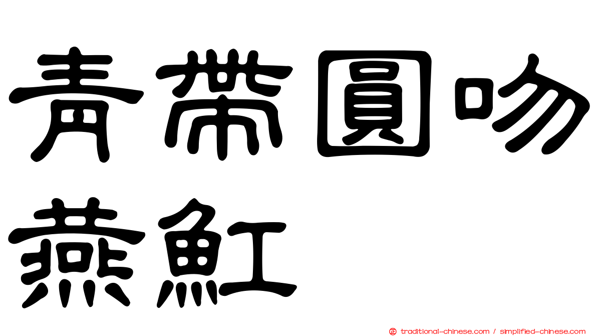 青帶圓吻燕魟