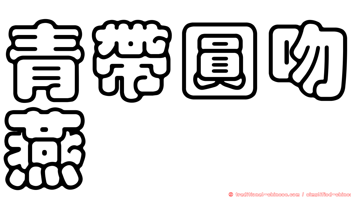 青帶圓吻燕魟