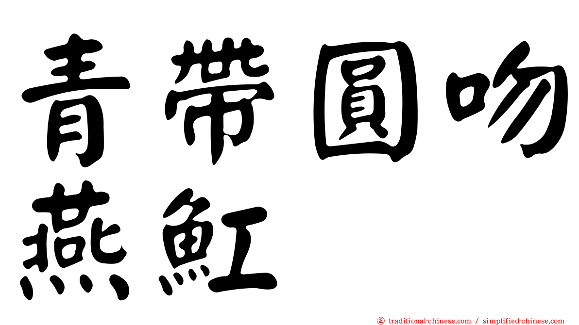 青帶圓吻燕魟