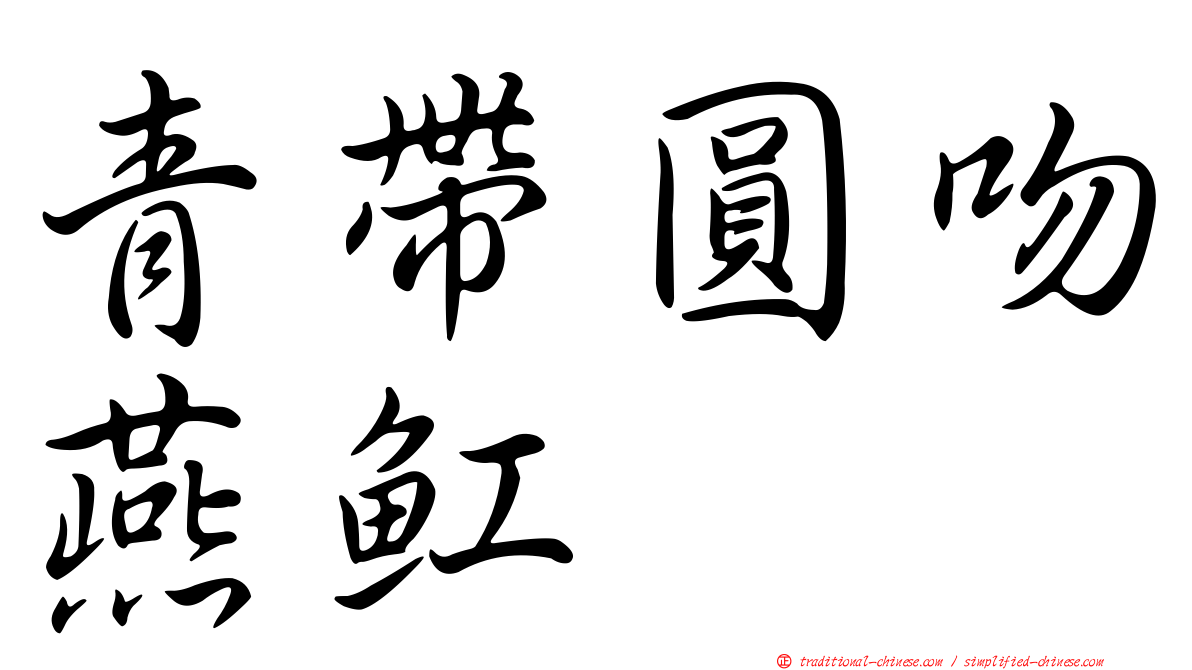 青帶圓吻燕魟