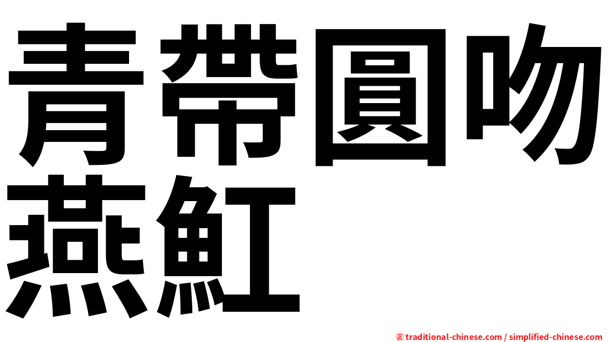 青帶圓吻燕魟