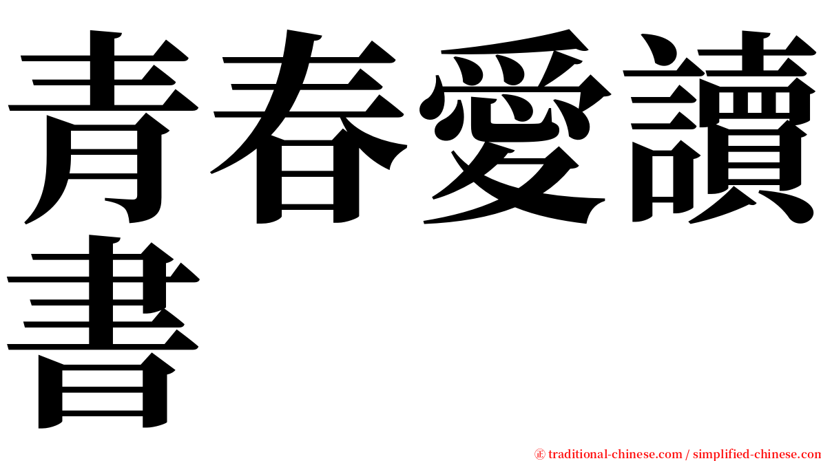 青春愛讀書 serif font