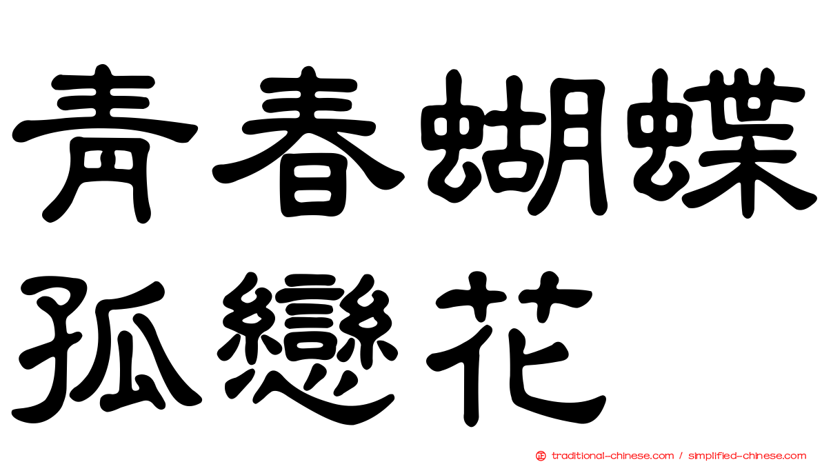 青春蝴蝶孤戀花