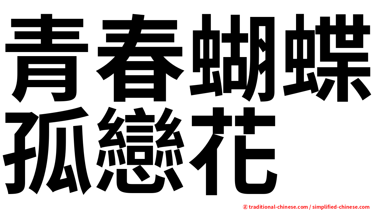 青春蝴蝶孤戀花