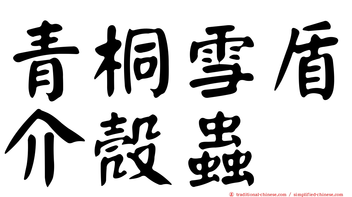 青桐雪盾介殼蟲