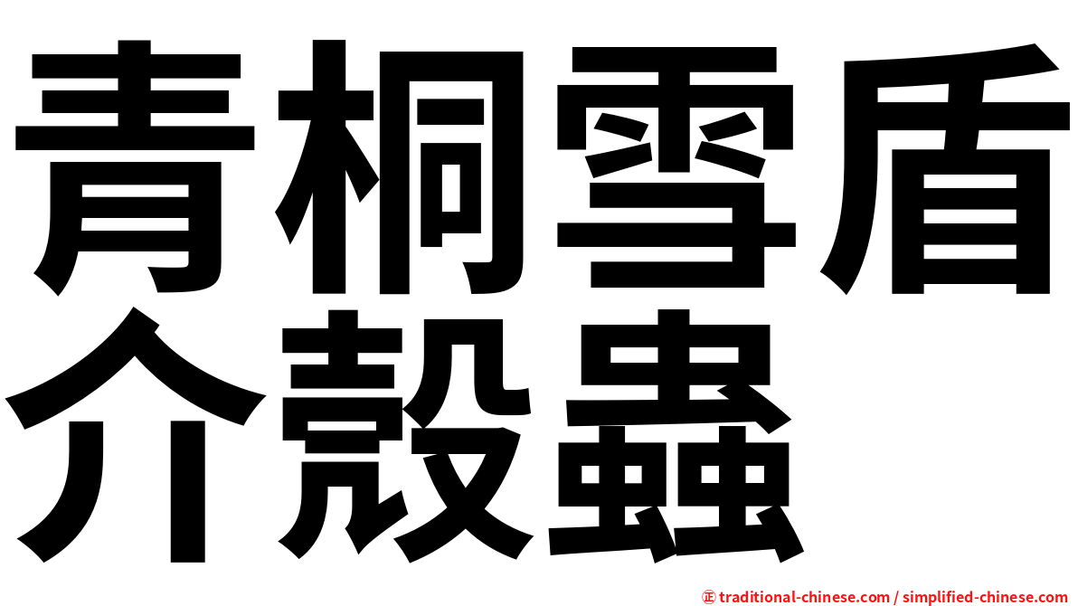 青桐雪盾介殼蟲