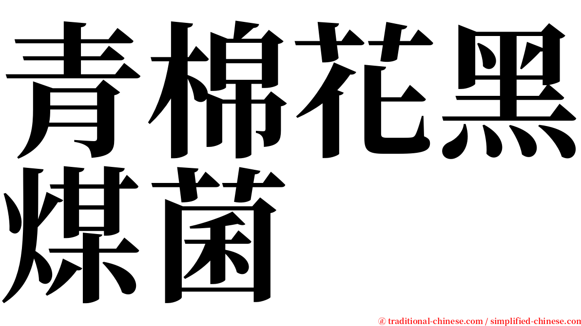 青棉花黑煤菌 serif font