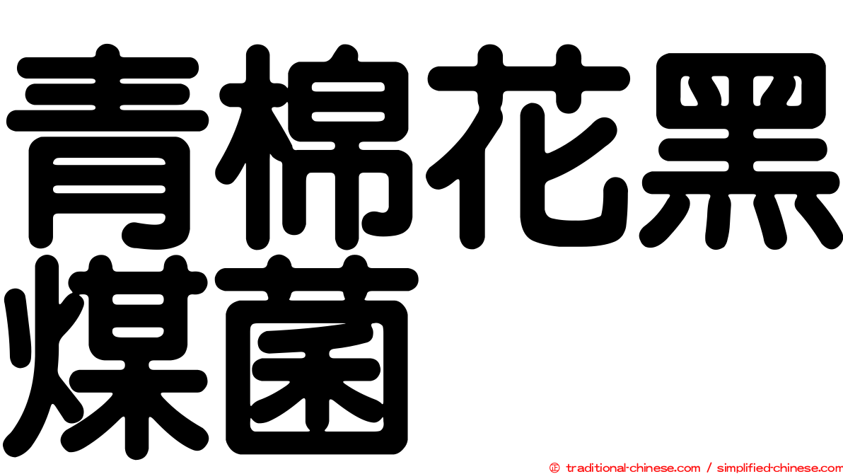 青棉花黑煤菌