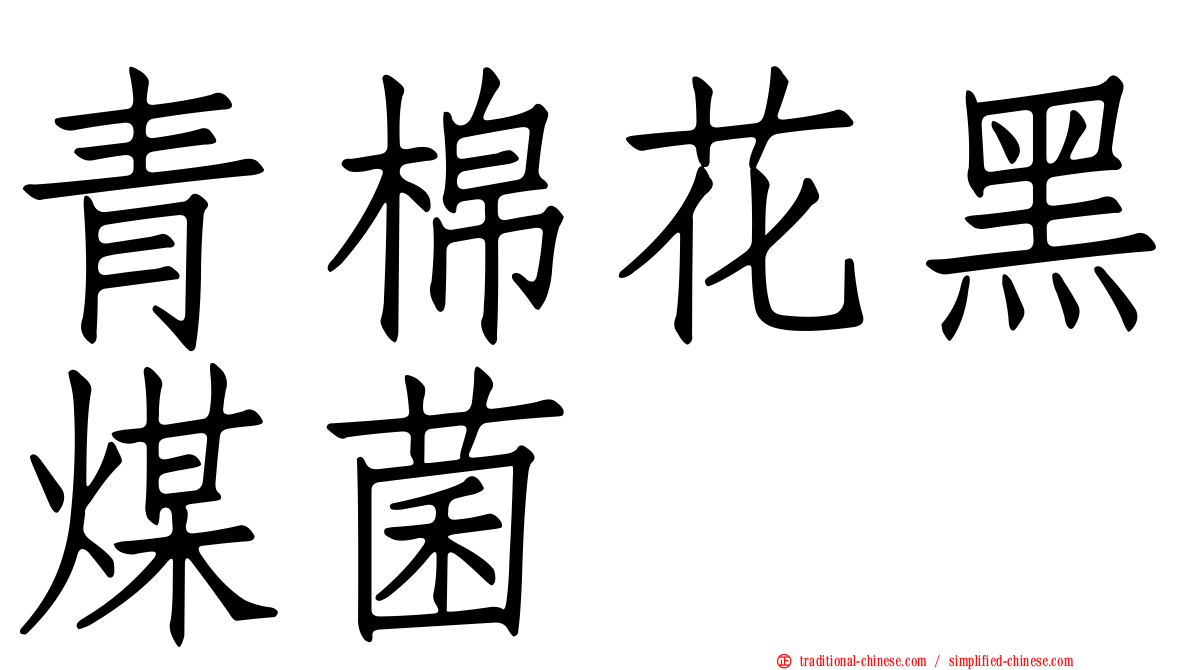 青棉花黑煤菌