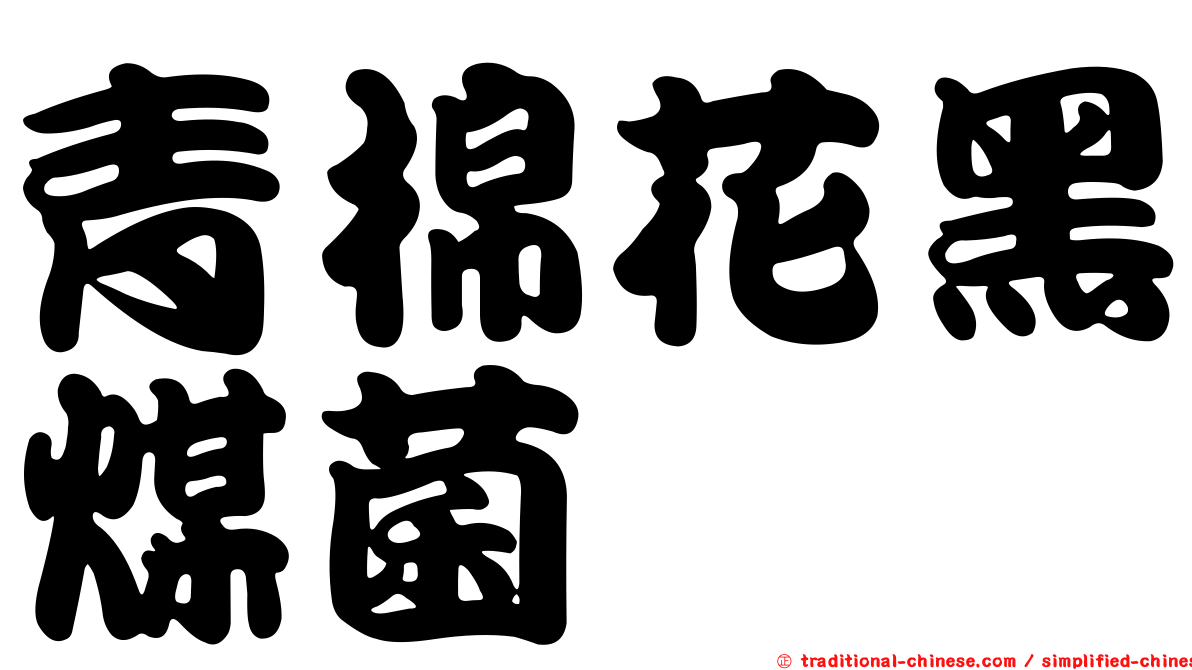 青棉花黑煤菌