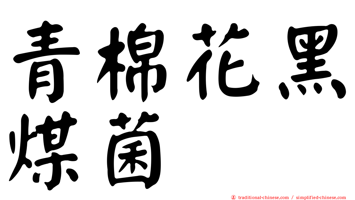 青棉花黑煤菌