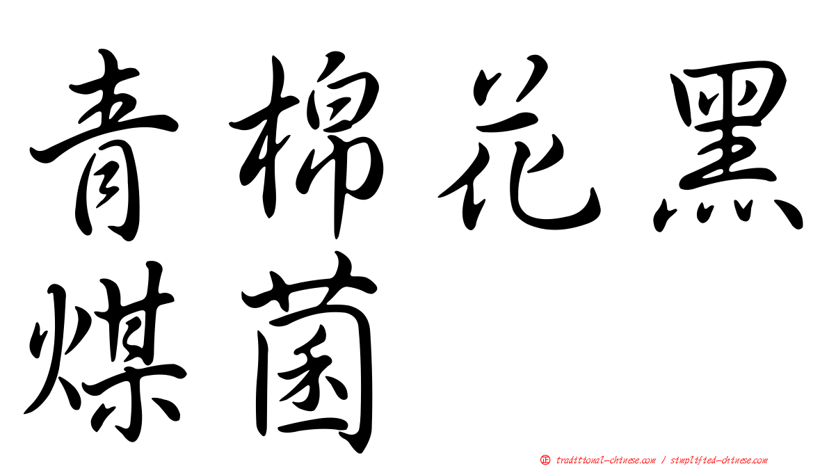 青棉花黑煤菌