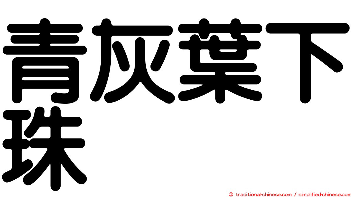 青灰葉下珠