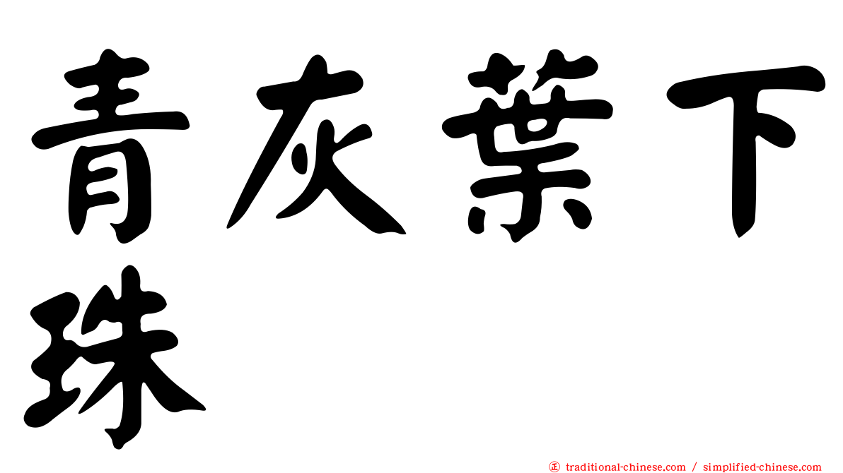 青灰葉下珠