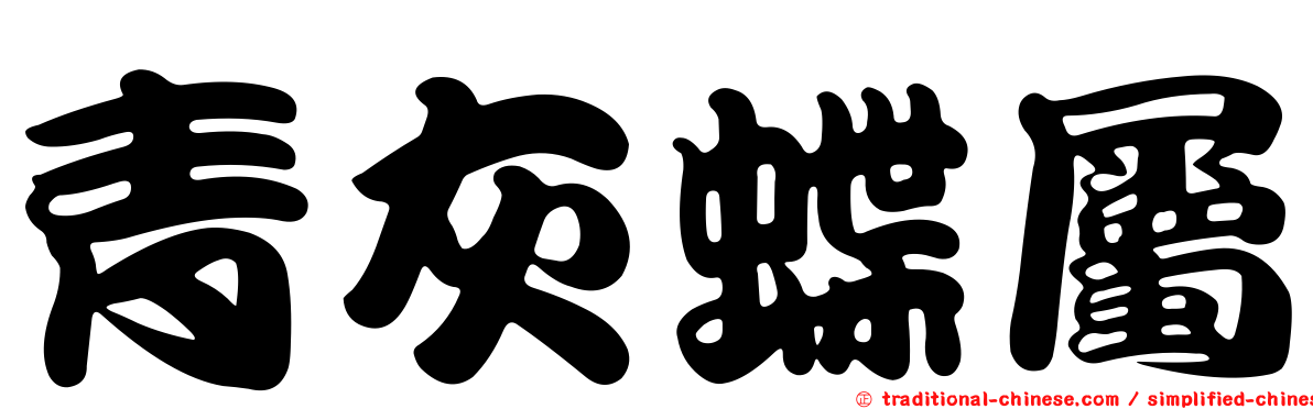 青灰蝶屬