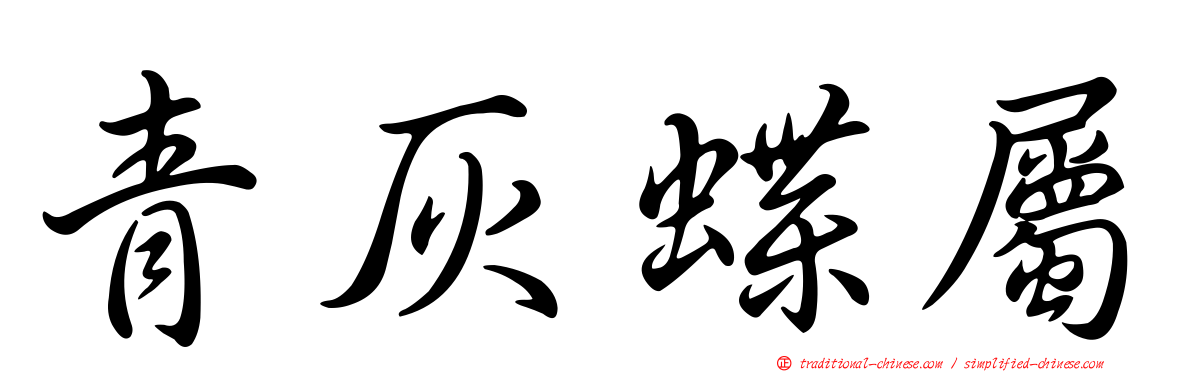 青灰蝶屬
