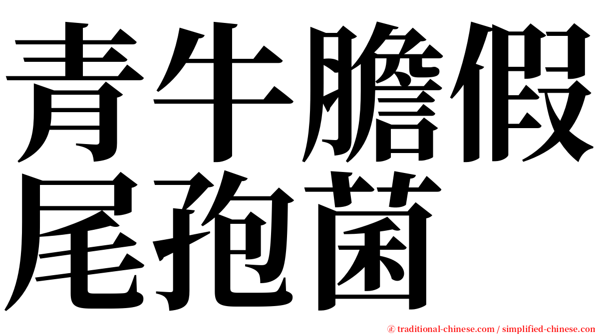青牛膽假尾孢菌 serif font