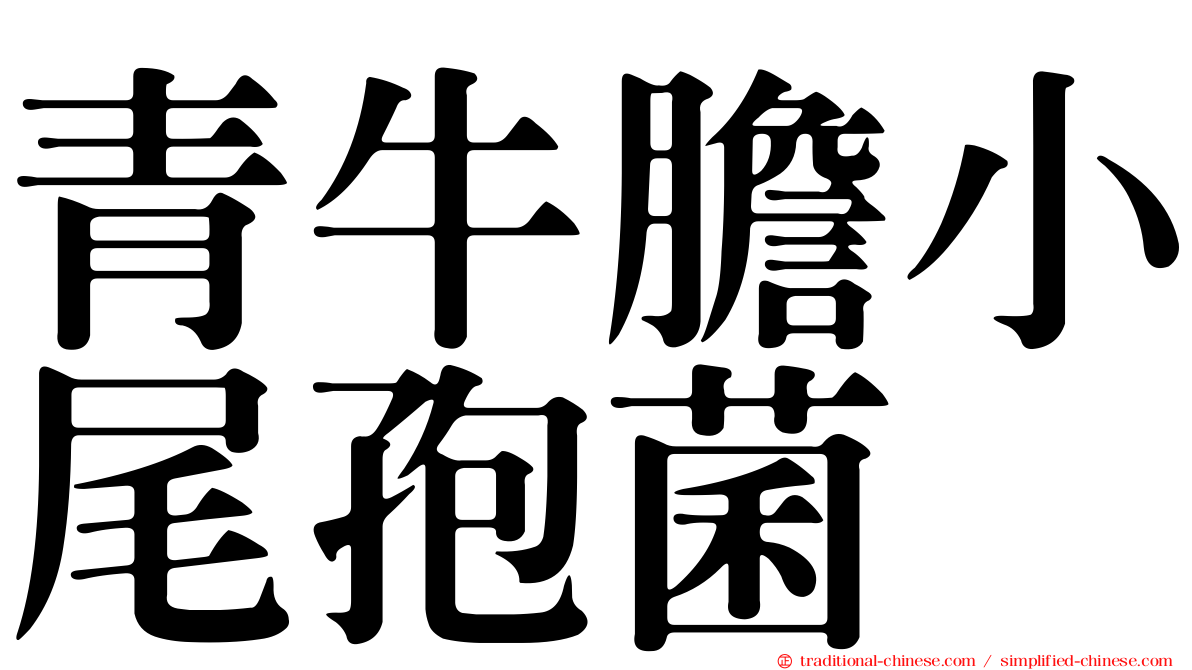 青牛膽小尾孢菌