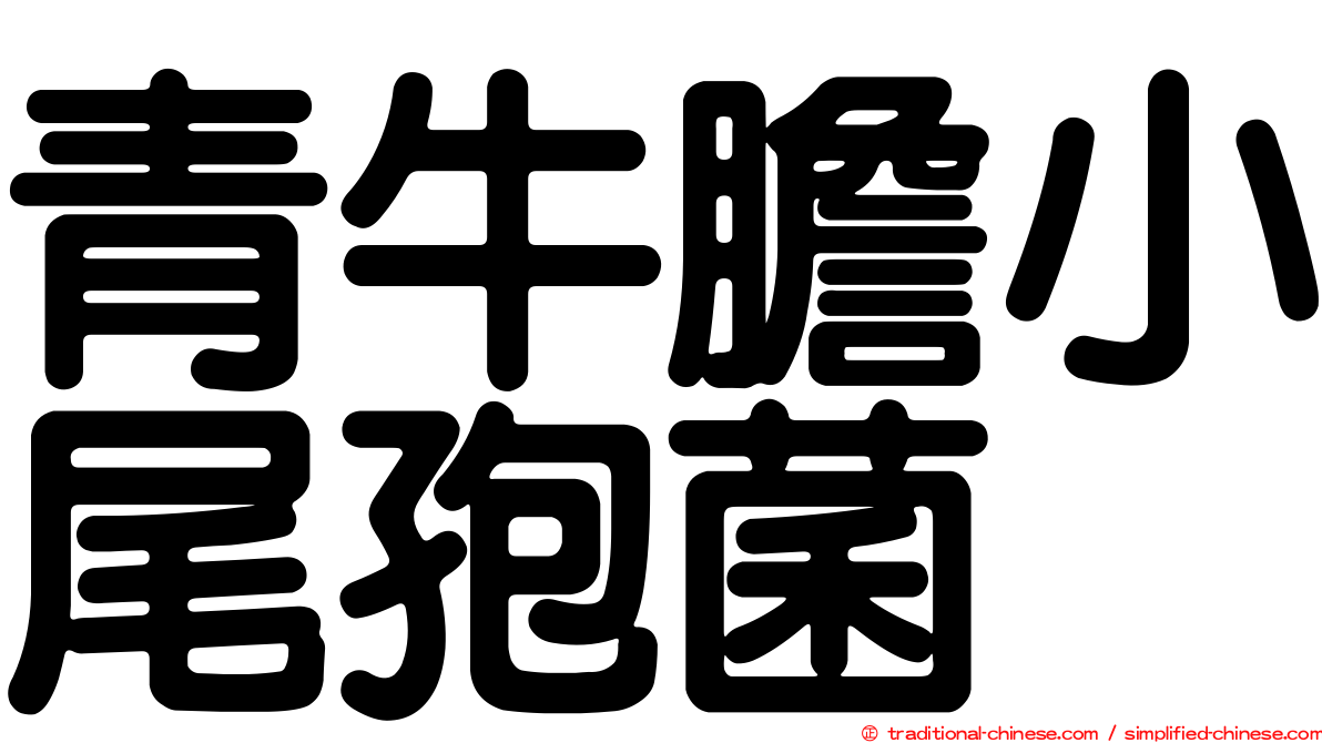青牛膽小尾孢菌