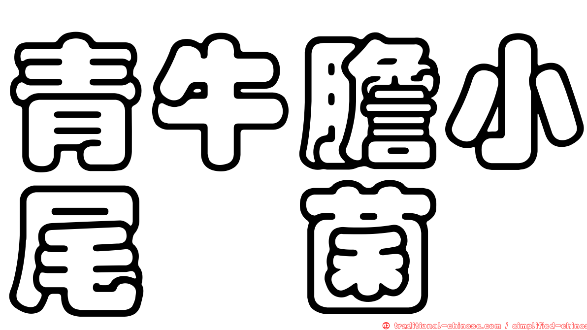 青牛膽小尾孢菌