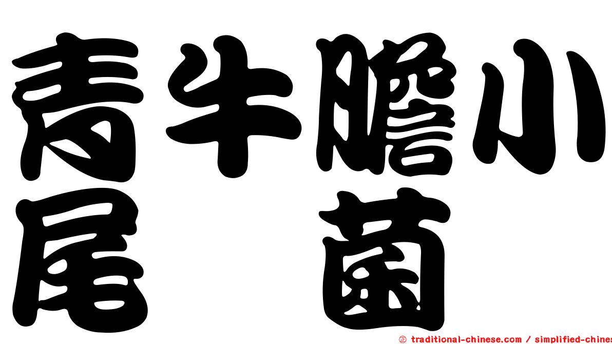 青牛膽小尾孢菌