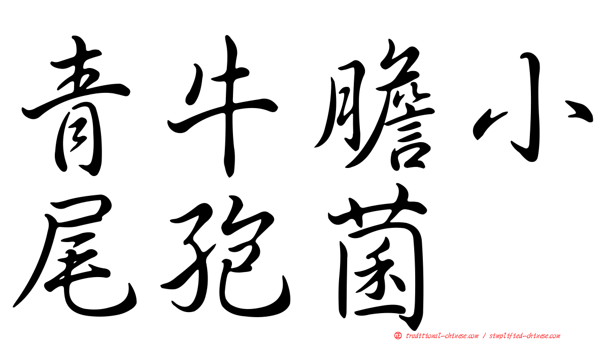 青牛膽小尾孢菌