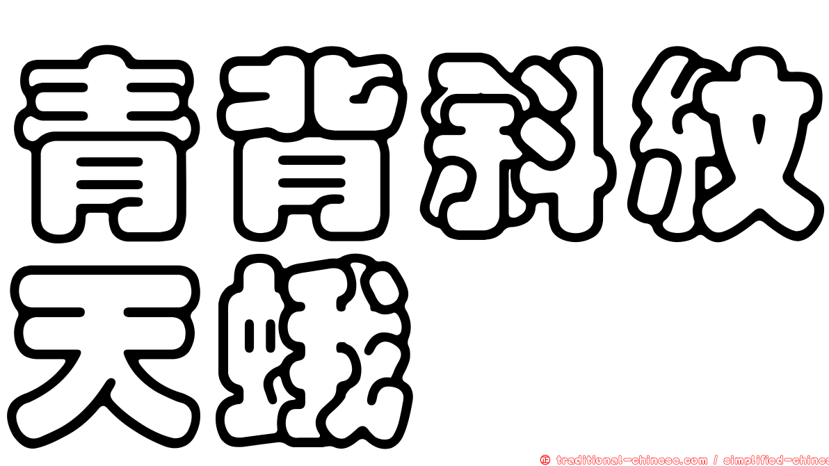 青背斜紋天蛾