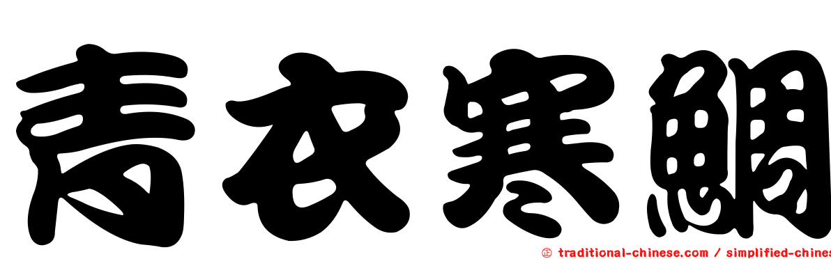 青衣寒鯛