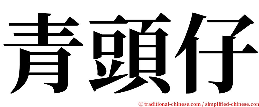 青頭仔 serif font