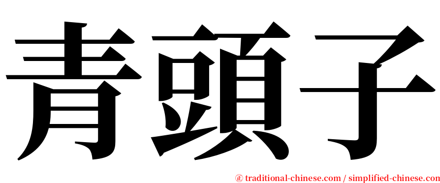 青頭子 serif font