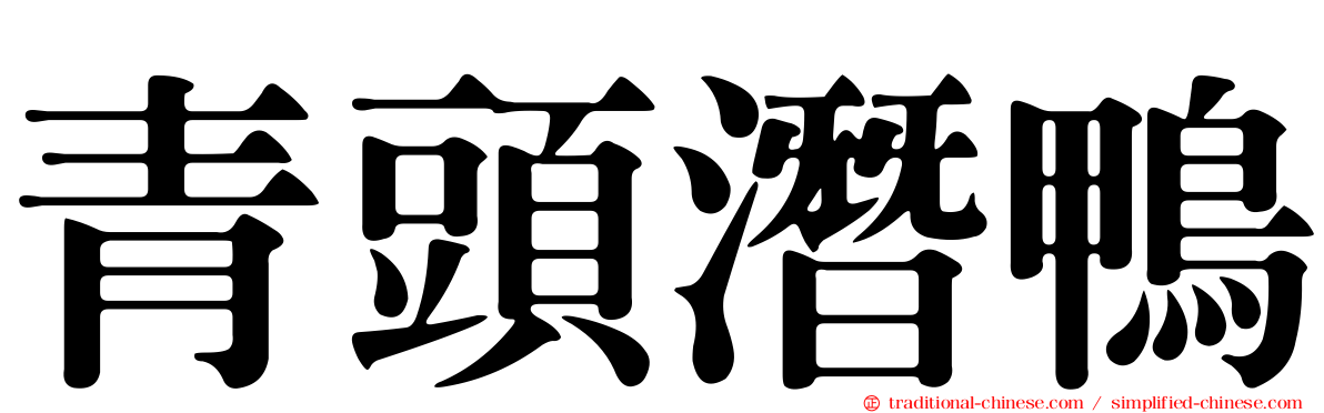 青頭潛鴨