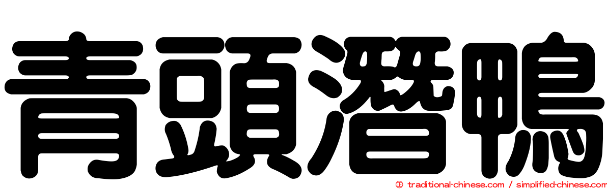 青頭潛鴨