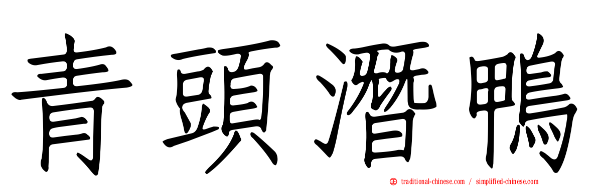 青頭潛鴨