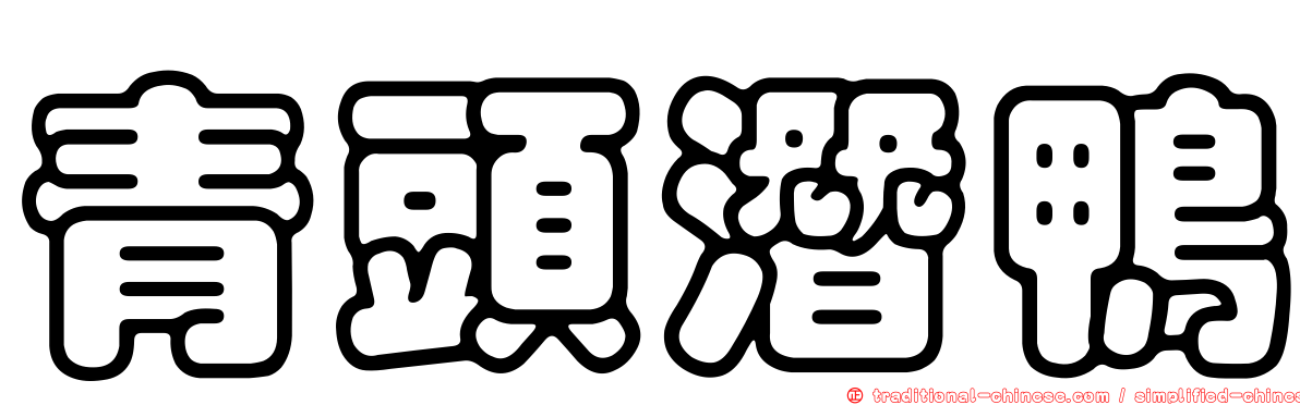 青頭潛鴨