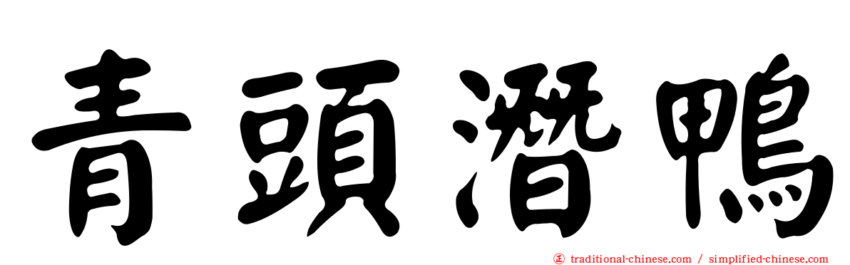 青頭潛鴨