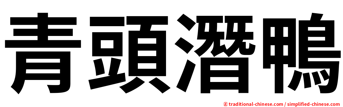 青頭潛鴨