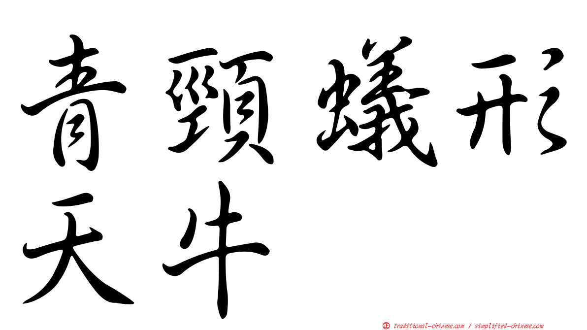 青頸蟻形天牛