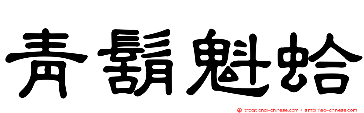 青鬍魁蛤