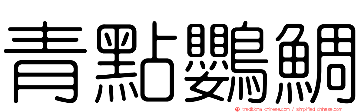 青點鸚鯛
