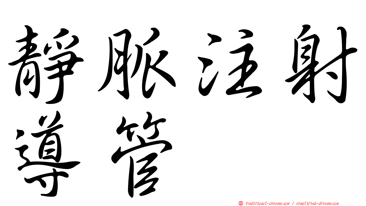 靜脈注射導管