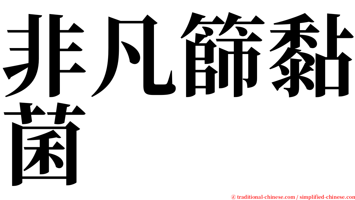 非凡篩黏菌 serif font
