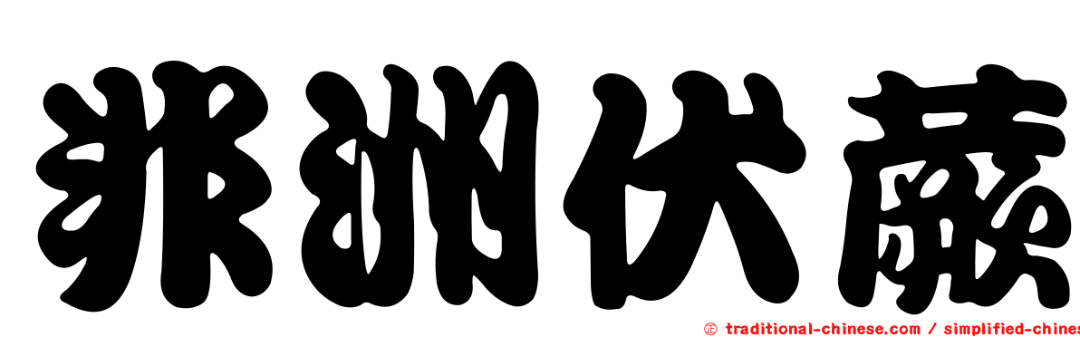 非洲伏蕨