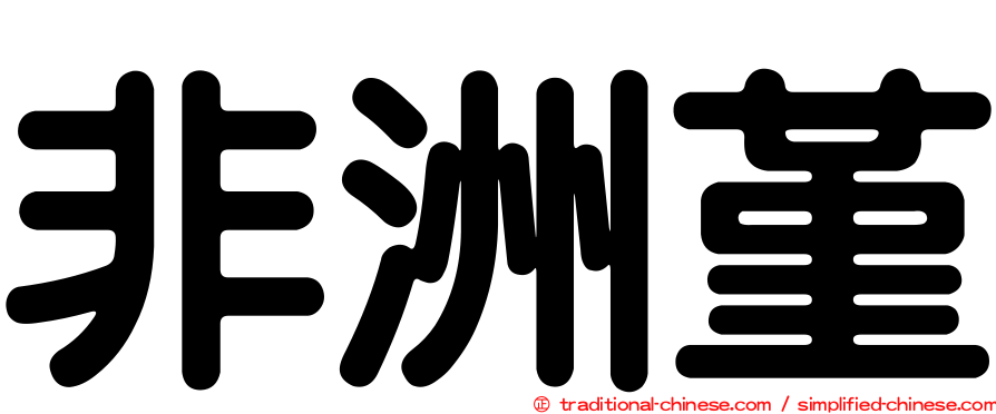 非洲堇