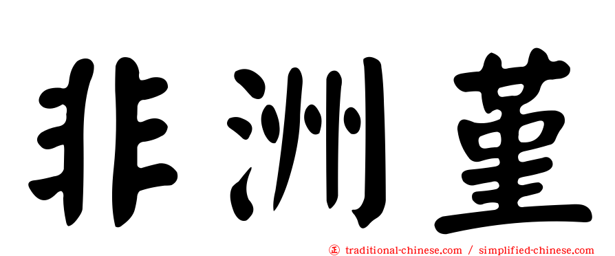 非洲堇