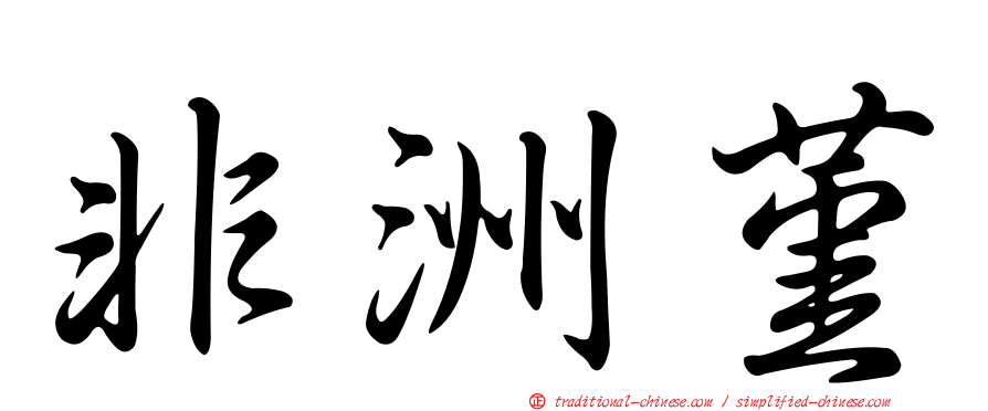 非洲堇