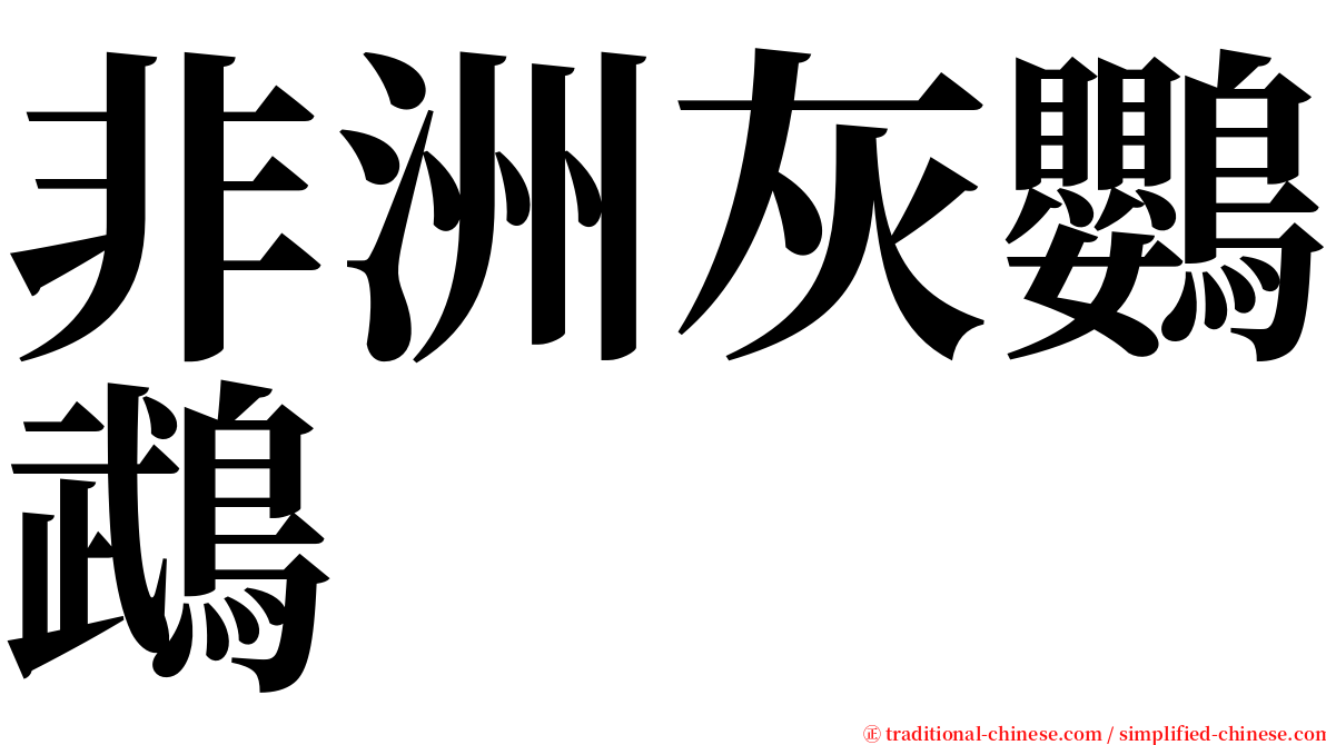 非洲灰鸚鵡 serif font