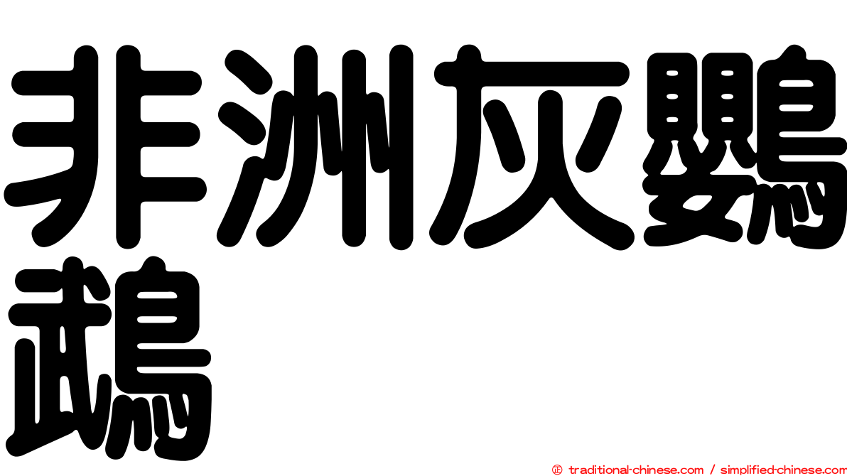 非洲灰鸚鵡