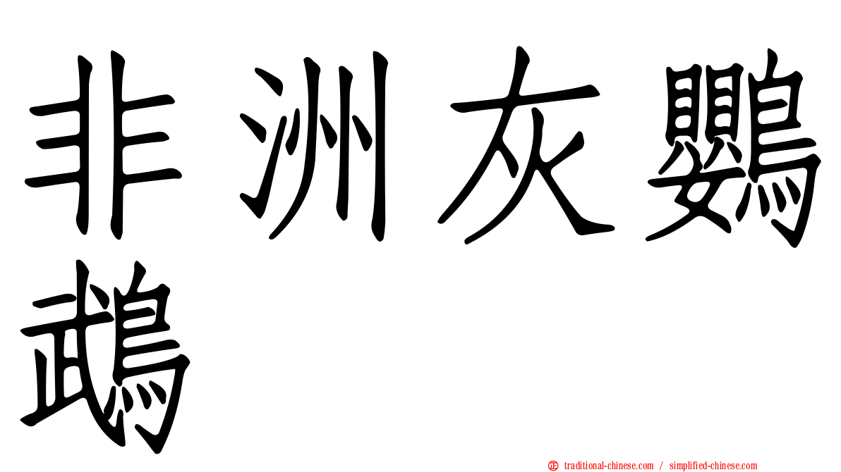 非洲灰鸚鵡
